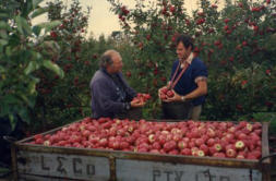 John Licciardello (Left) in 1989